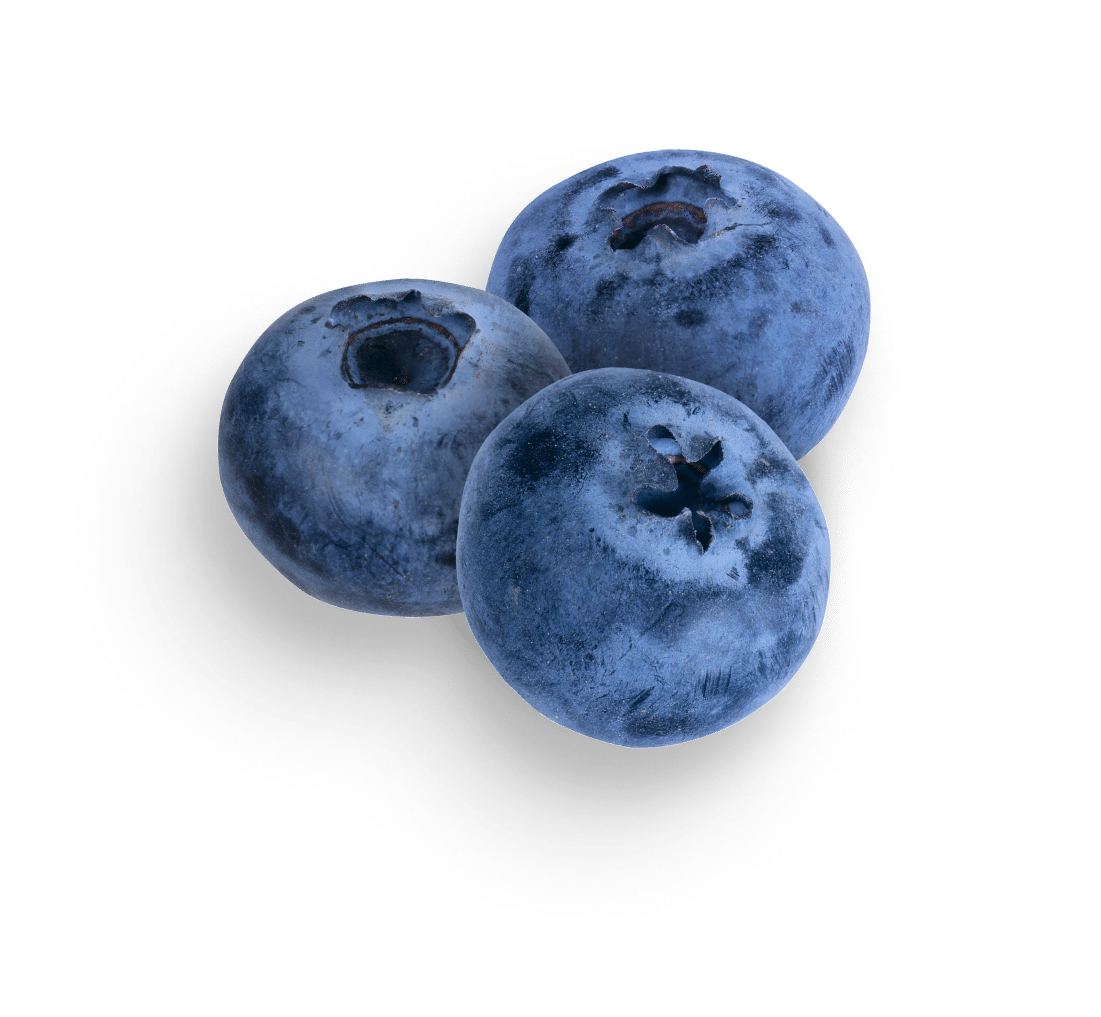 Blueberries cluster on black background.