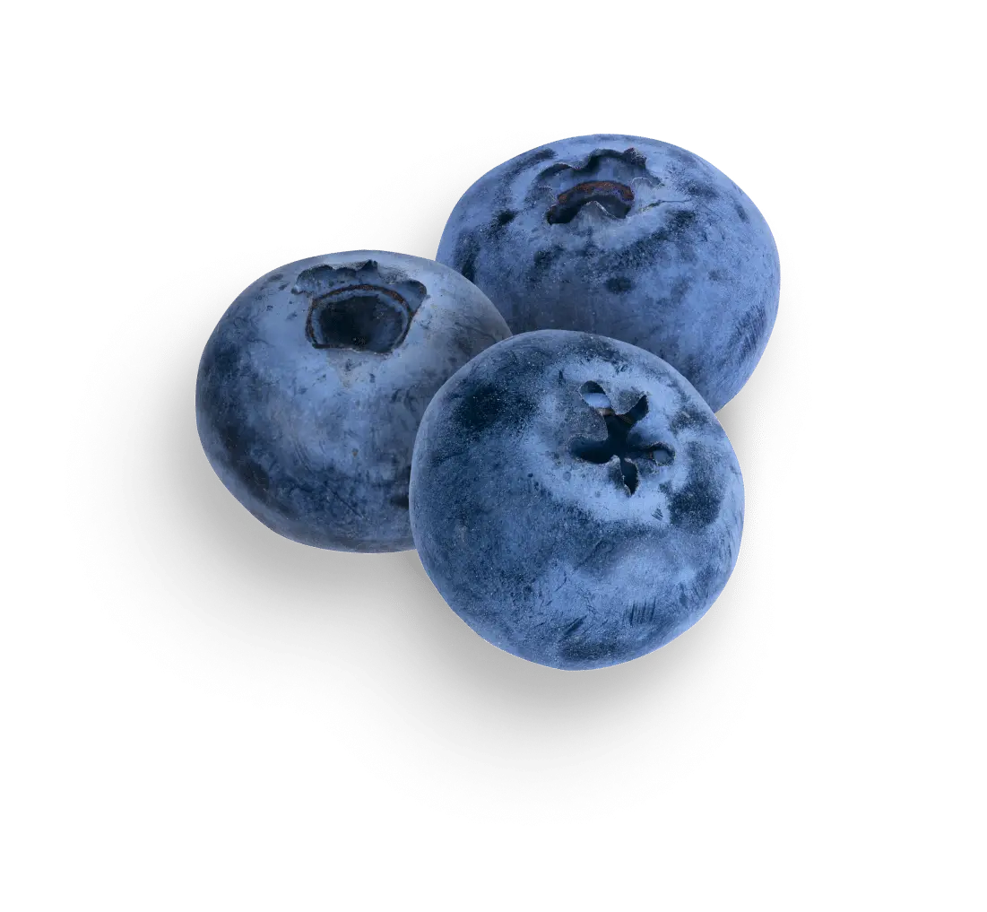 Blueberries cluster on black background.