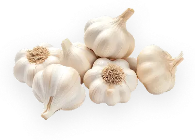 Garlic bulbs rest on a dark surface.