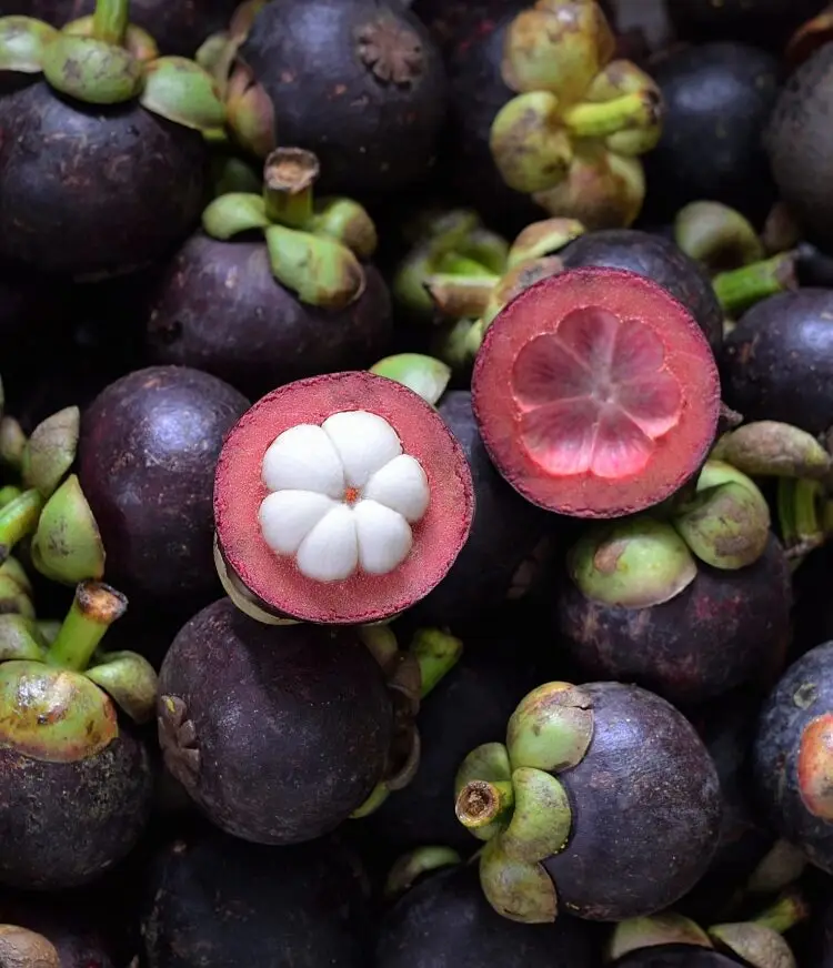 Mangosteens halved, revealing white flesh; nestled among numerous whole mangosteens.