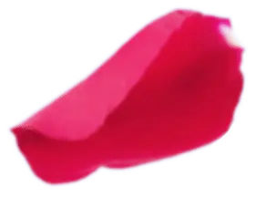 Rose petal, rests, against a mottled green background.