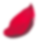 A single, crimson petal floats, isolated against a black background.