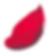 A single, crimson petal floats, isolated against a black background.