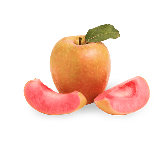 Apple sliced, revealing pink flesh, on black background.