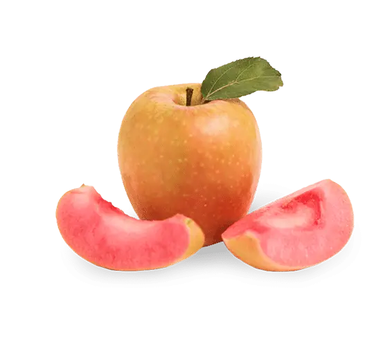 Apple sliced, revealing pink flesh, on black background.