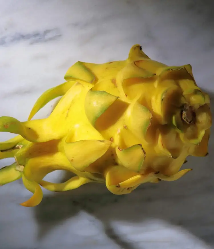 Yellow dragon fruit rests on marble.