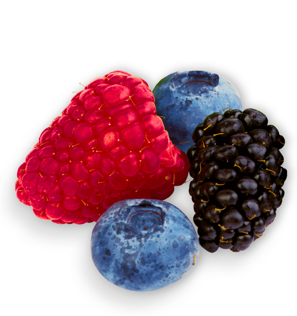 Raspberries, blueberries, and blackberries cluster together.
