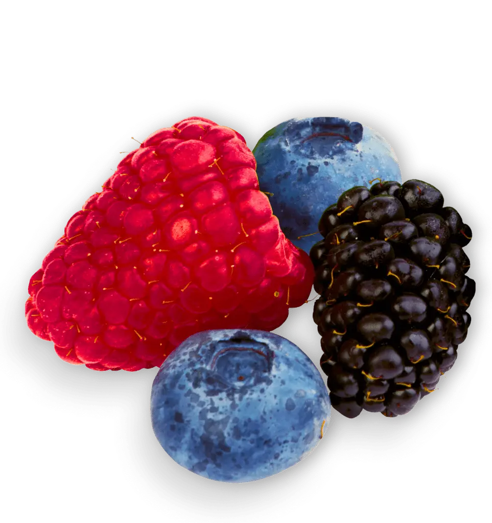 Raspberries, blueberries, and blackberries cluster together.