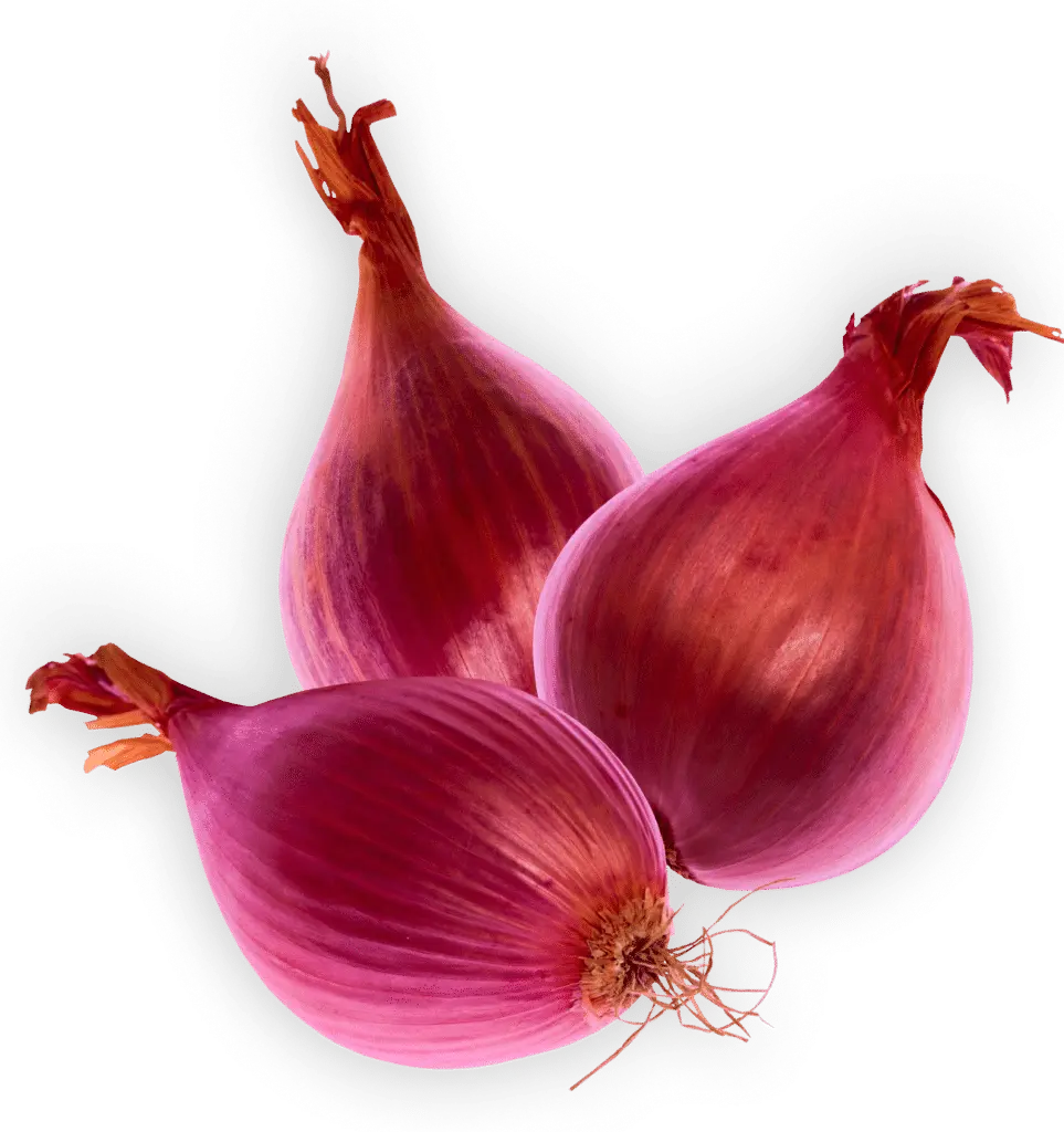 Three red onions cluster together against a green background.