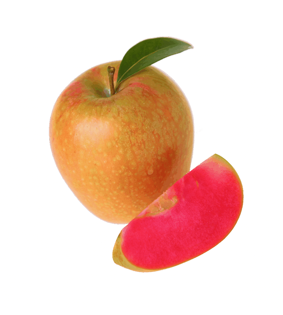 Apple sliced, showing red flesh, against green background.